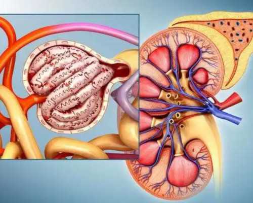 试管婴儿经验分享，试管婴儿成功率最高的医院排名