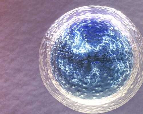 长沙代孕公司案例,长沙供卵试管大概多少钱？长沙试管婴儿费用纳入医保了吗